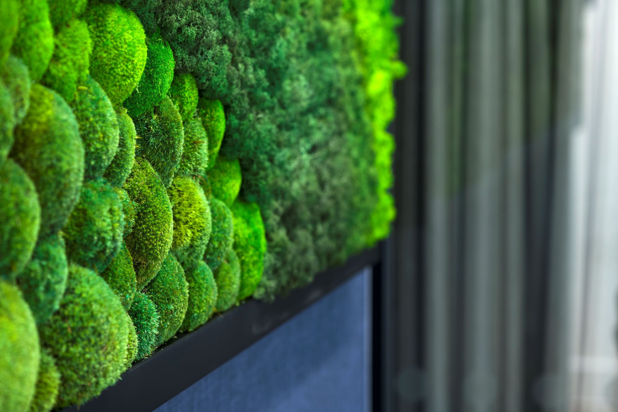 Habit Action - moss framed feature
