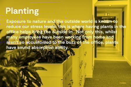 Planting
