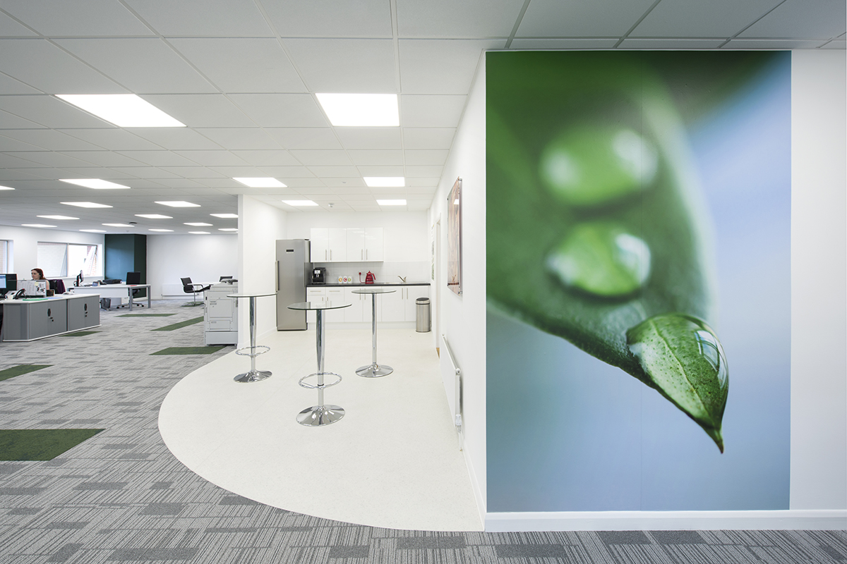 Office relocation wall graphics
