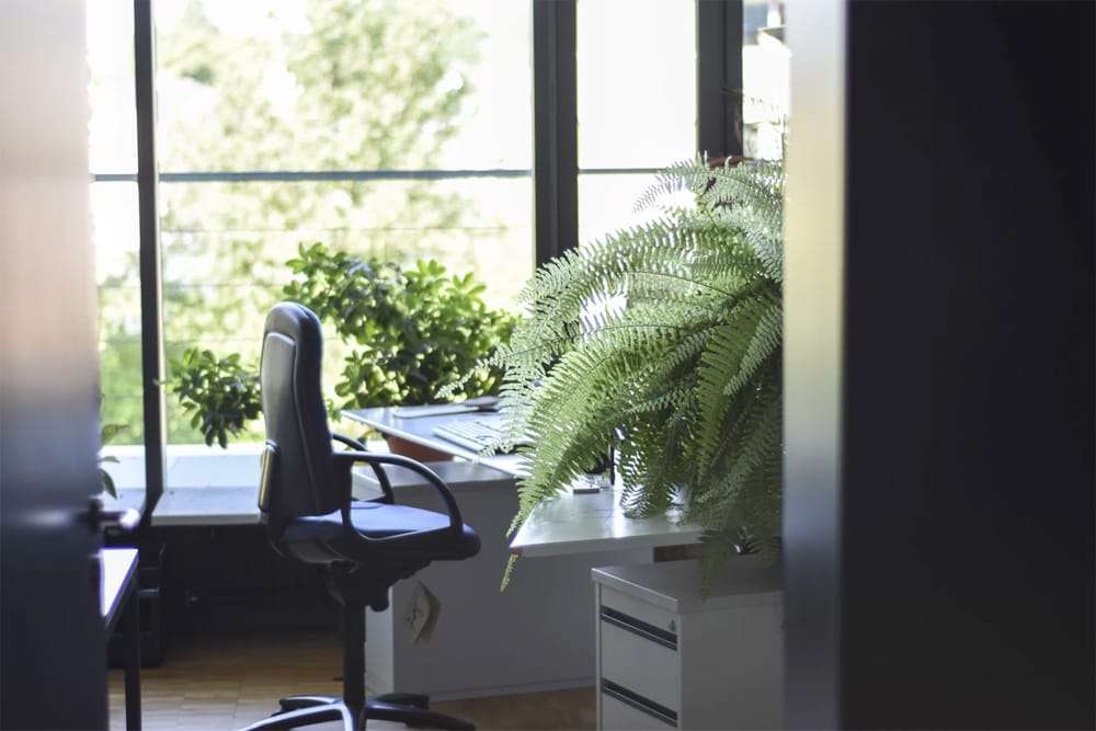 15 things that make for a great office environment